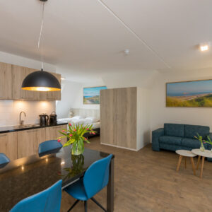Luxury studio+ for 2 people | Zoutelande in Zoutelande in Nederland